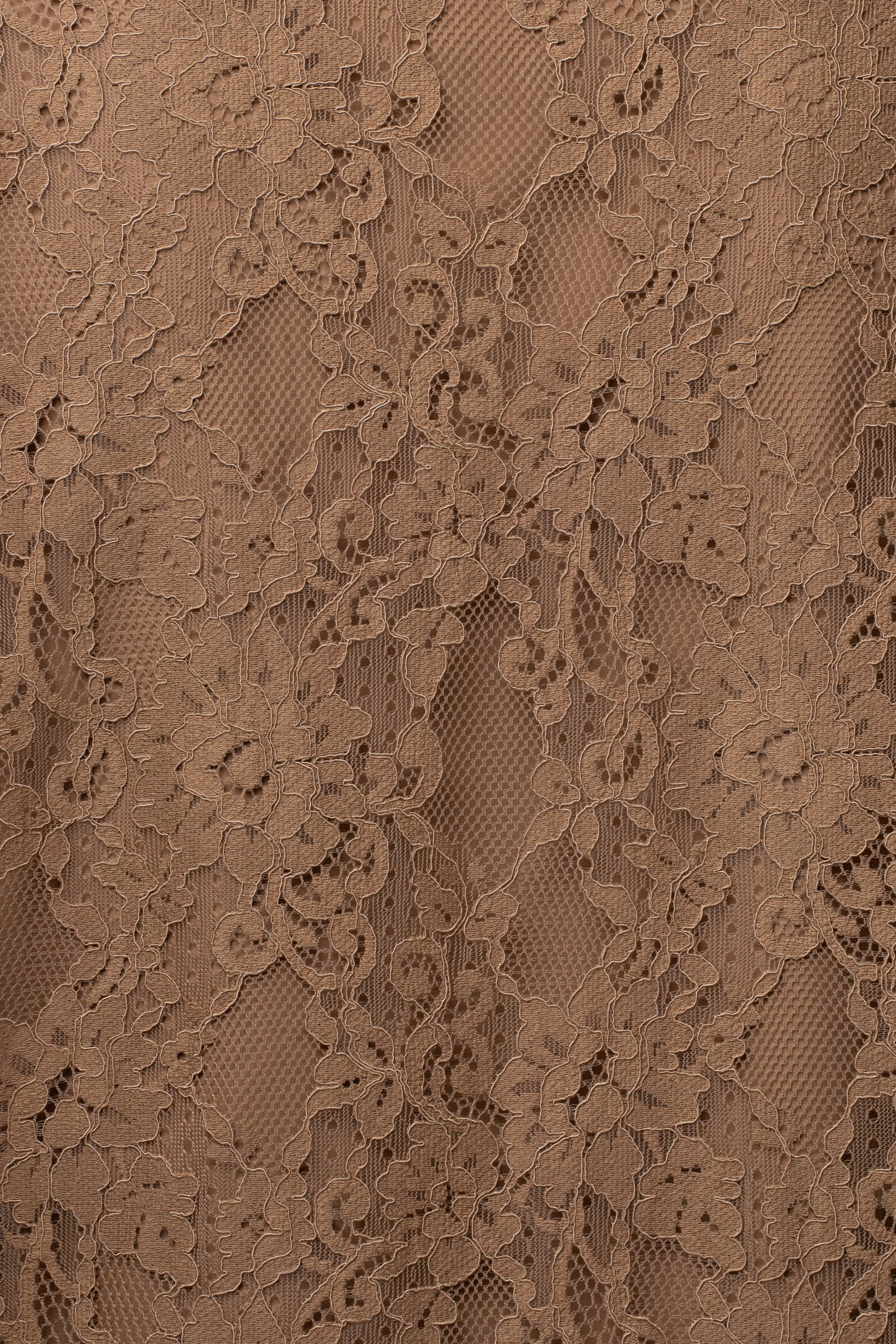 « Dentelle Désirée » — Blazer, Fauve